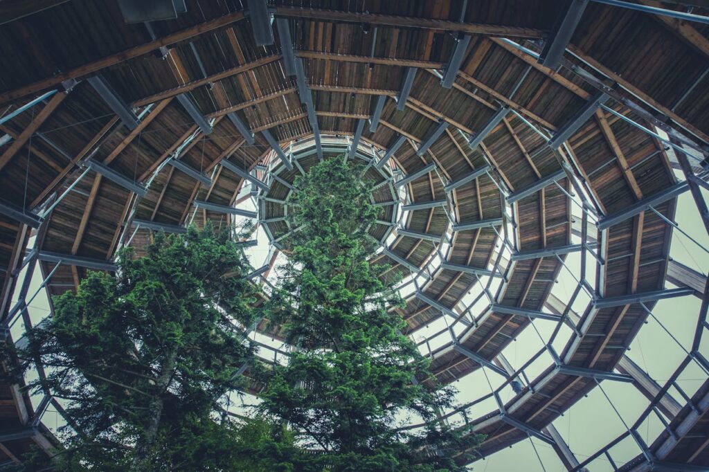 Green Tree Under Brown Roof